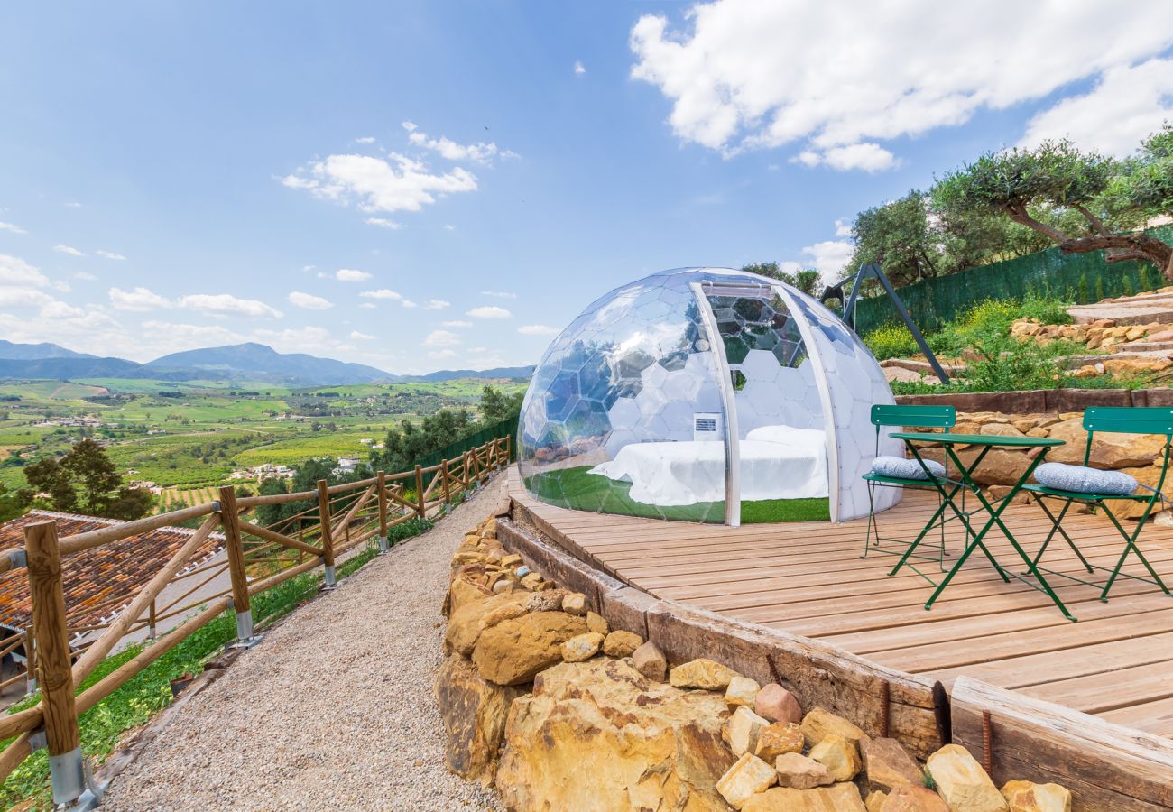 Country house in Pizarra - Finca Puerto Ermita