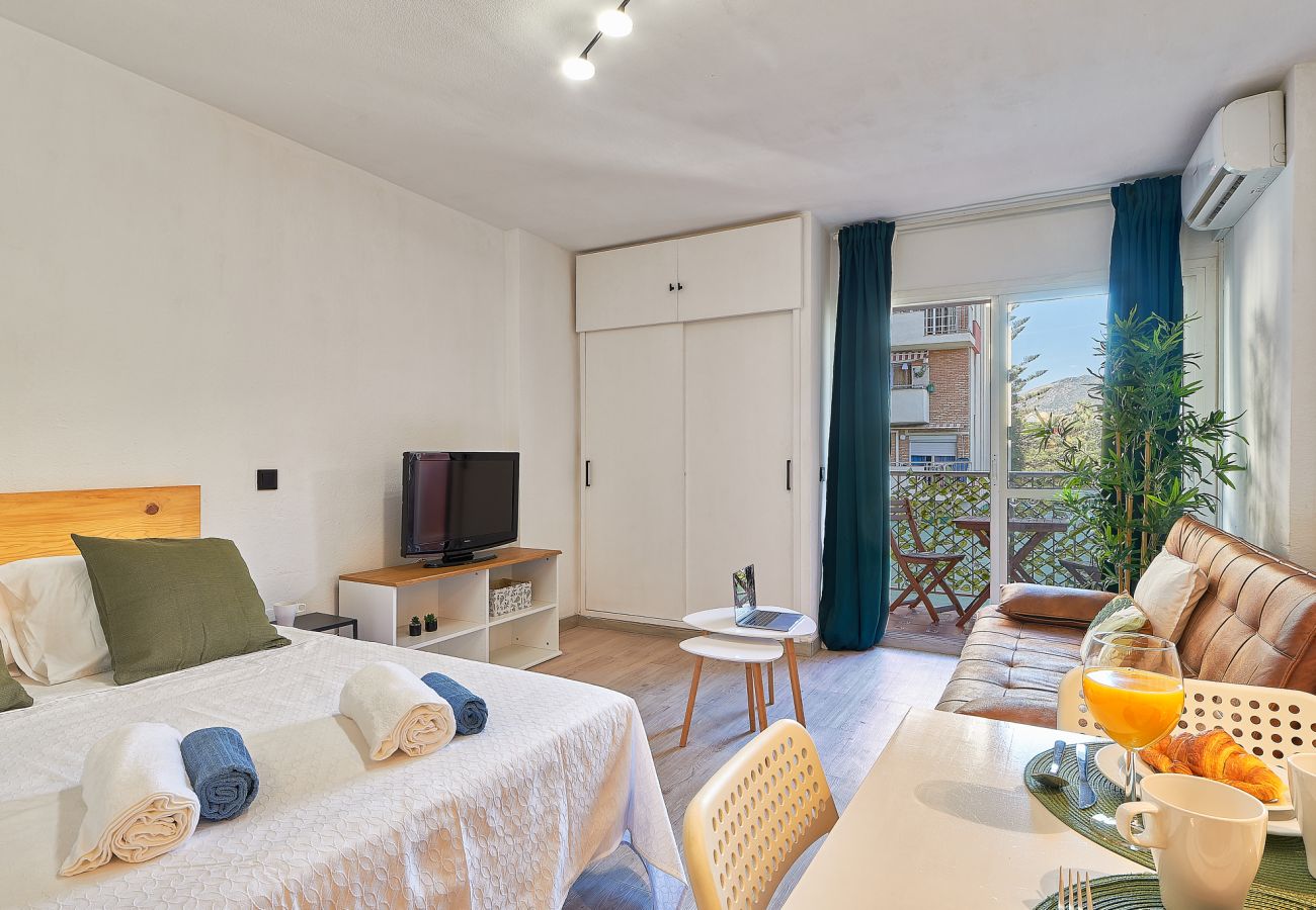 Studio in Arroyo de la Miel - JUPITER 101