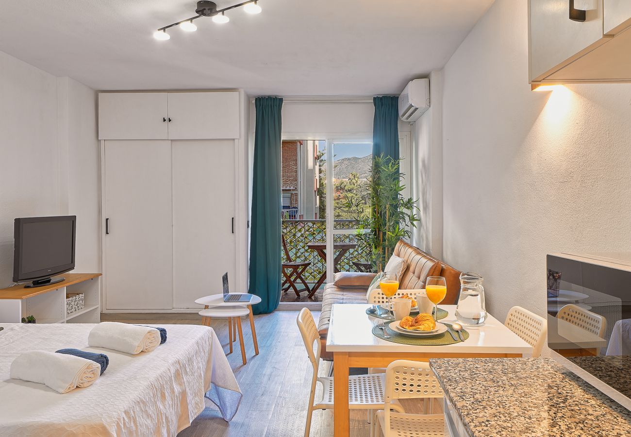 Studio in Arroyo de la Miel - JUPITER 101